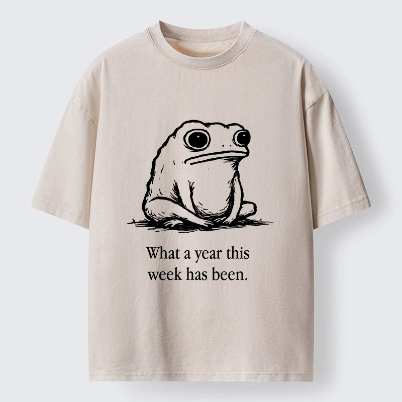 Tokyo-Tiger This Week Feels Like A Whole Year Washed T-Shirt