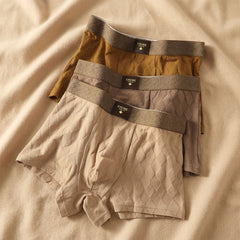Navajo Organic Cotton Boxer Briefs Set