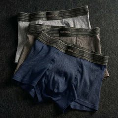 Taro Organic Cotton Boxer Briefs Set